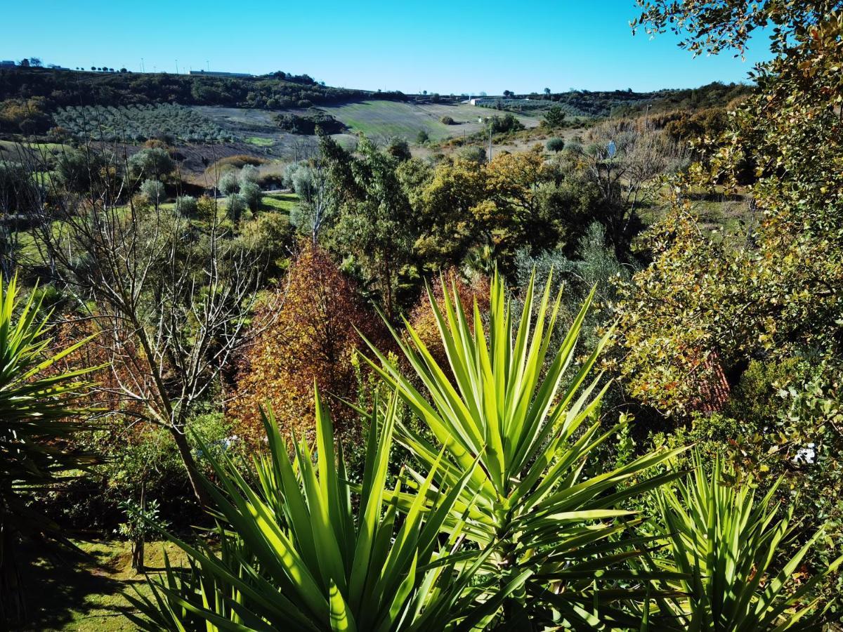Quinta Do Vale Encantado "The Valley" - Santarem - Portugal Calhariz Екстериор снимка