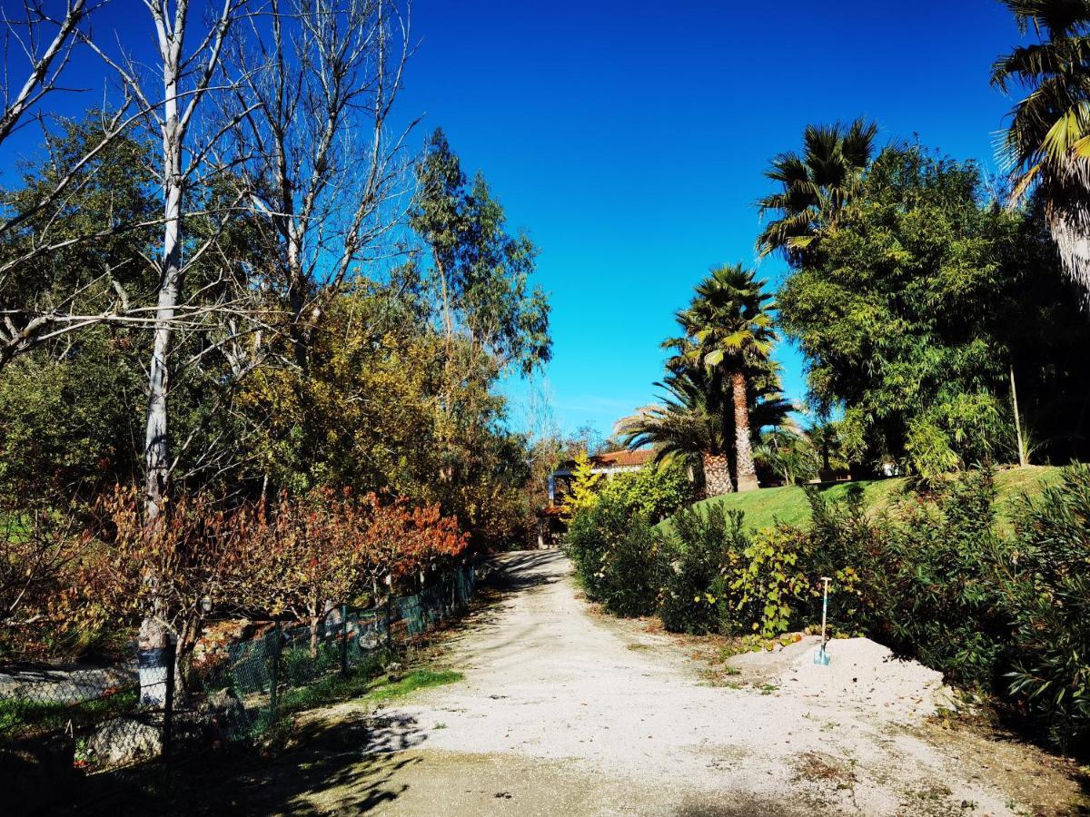 Quinta Do Vale Encantado "The Valley" - Santarem - Portugal Calhariz Екстериор снимка