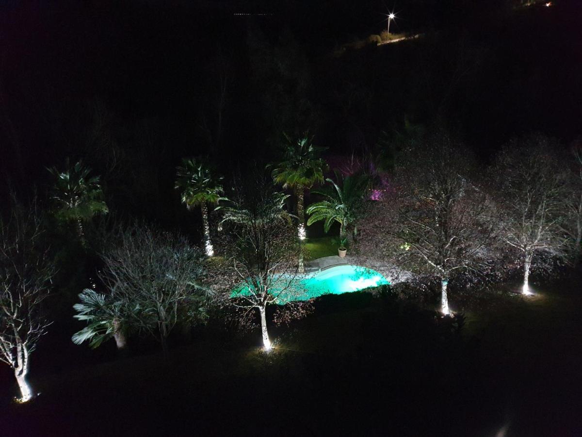 Quinta Do Vale Encantado "The Valley" - Santarem - Portugal Calhariz Екстериор снимка