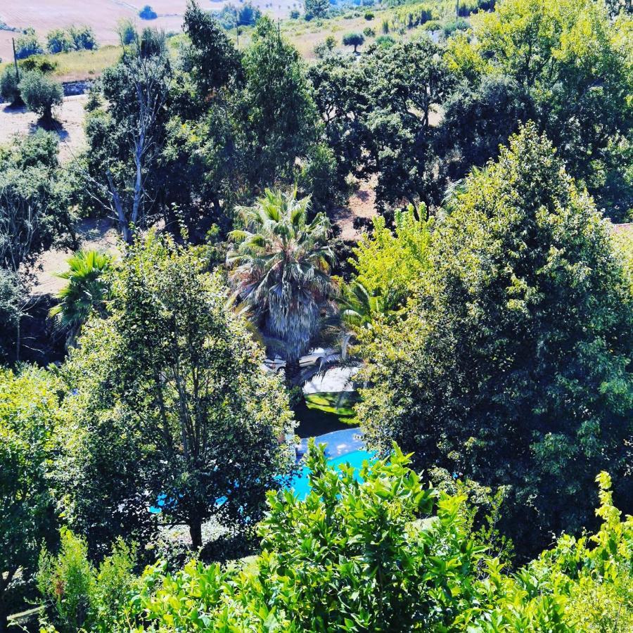 Quinta Do Vale Encantado "The Valley" - Santarem - Portugal Calhariz Екстериор снимка