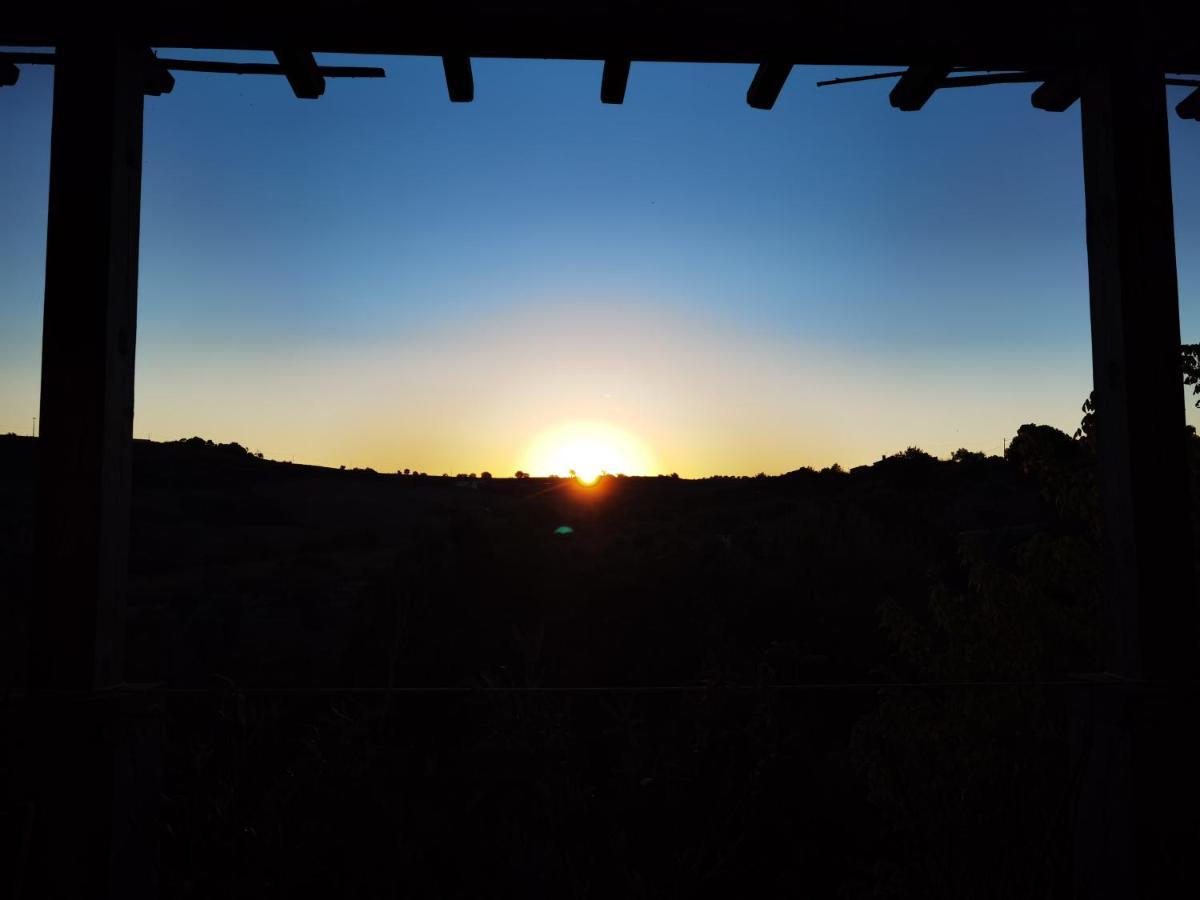 Quinta Do Vale Encantado "The Valley" - Santarem - Portugal Calhariz Екстериор снимка