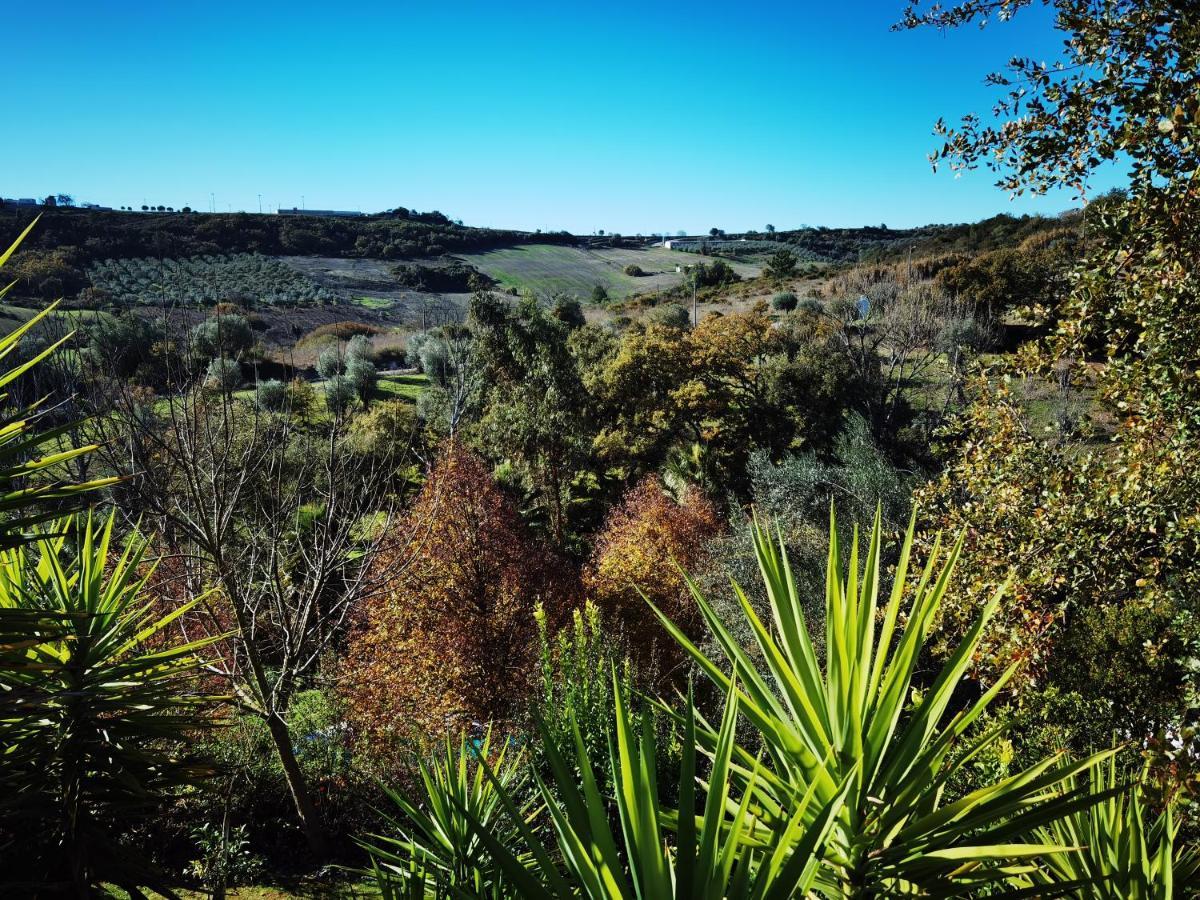 Quinta Do Vale Encantado "The Valley" - Santarem - Portugal Calhariz Екстериор снимка