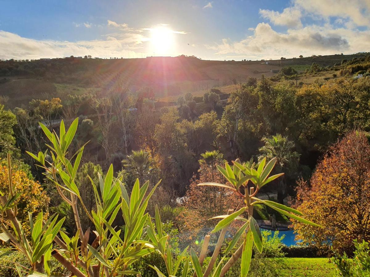 Quinta Do Vale Encantado "The Valley" - Santarem - Portugal Calhariz Екстериор снимка