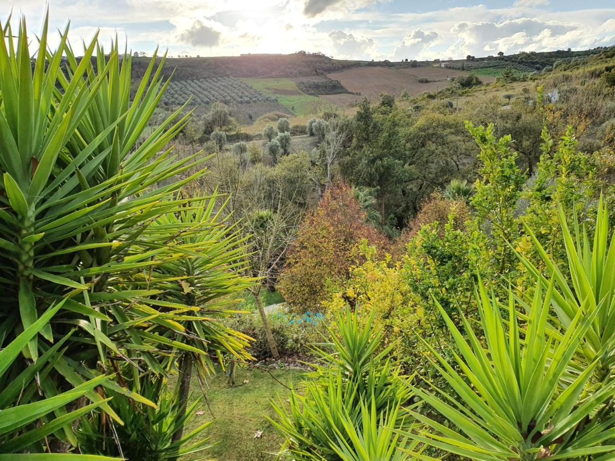 Quinta Do Vale Encantado "The Valley" - Santarem - Portugal Calhariz Екстериор снимка
