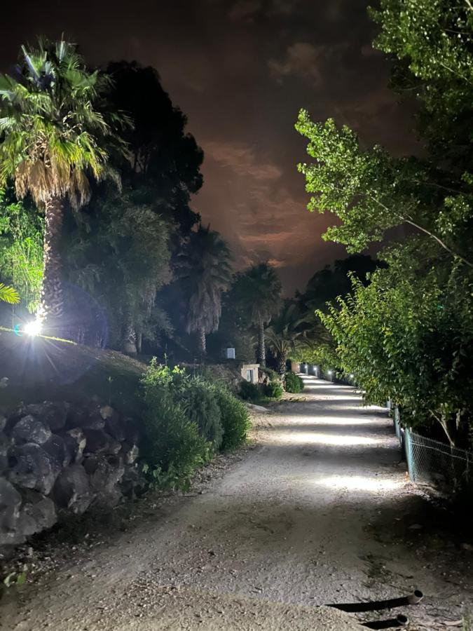 Quinta Do Vale Encantado "The Valley" - Santarem - Portugal Calhariz Екстериор снимка